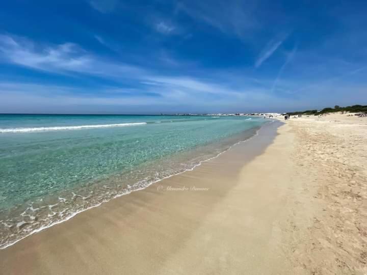 Le Tre Coccinelle Apartment Porto Cesareo Exterior foto